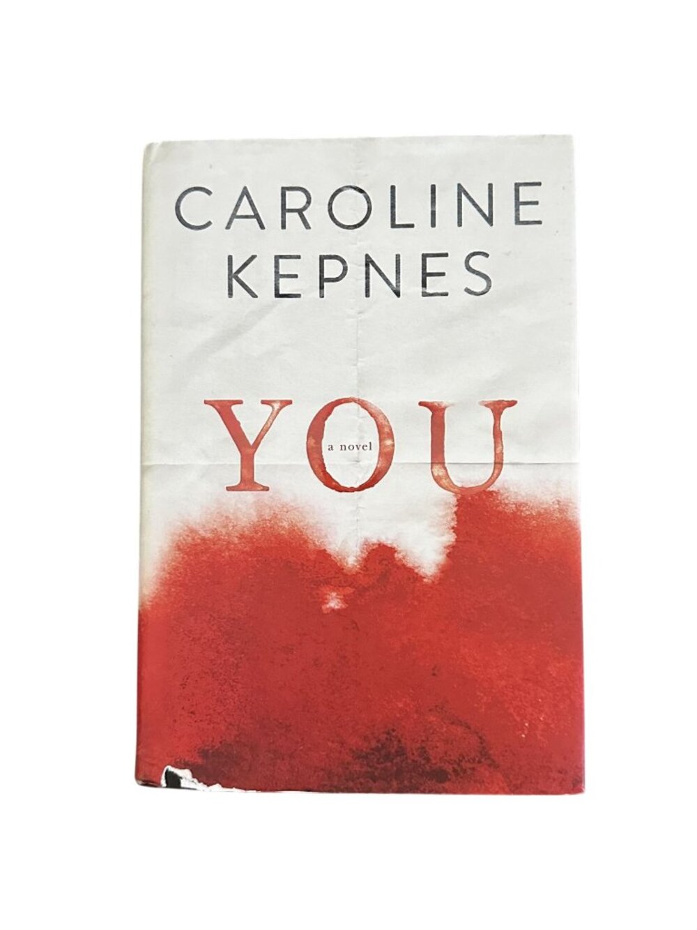 You A Novel 1st Edition Hardcover First Edition 2014 Caroline Kepnes Netflix Ser